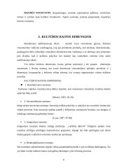 Korporacinė kultūra viešajame sektoriuje 6 puslapis