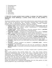 Kultūros produkto - paslaugos asortimento nustatymas 3 puslapis