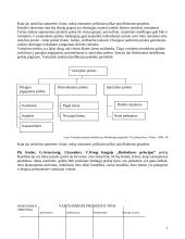 Kultūros produkto - paslaugos asortimento nustatymas 7 puslapis