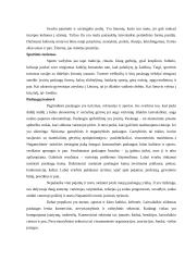 Laisvalaikio samprata bei formos 2 puslapis