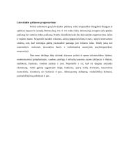 Laisvalaikio samprata bei formos 3 puslapis