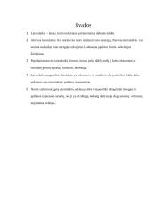 Laisvalaikio samprata bei formos 5 puslapis