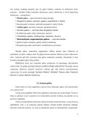 Lyderis ir pokyčiai pagal M. Useem 5 puslapis