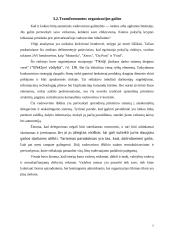 Lyderis ir pokyčiai pagal M. Useem 7 puslapis