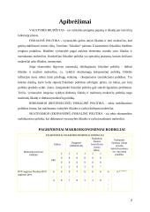 Lietuvos biudžeto politikos palyginamoji analizė 2 puslapis