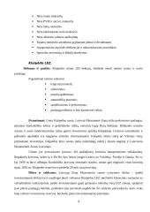 Lietuvos ekonomika 4 puslapis