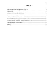 Lietuvos ekonomikai būdingos masto grąžos nustatymas 2 puslapis