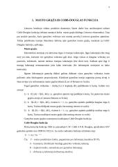 Lietuvos ekonomikai būdingos masto grąžos nustatymas 3 puslapis