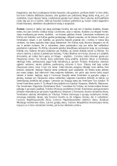 Lietuvos ir Italijos šeimų palyginimas 3 puslapis