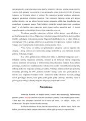 Lietuvos jaunimo emigracija 4 puslapis