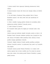 Lietuvos vykdomoji valdžia 13 puslapis