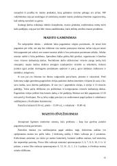 Ligoninės maitinimo sistemos organizavimo projektas 11 puslapis