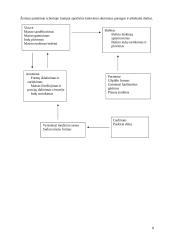 Ligoninės maitinimo sistemos organizavimo projektas 7 puslapis