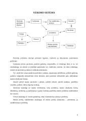 Ligoninės maitinimo sistemos organizavimo projektas 8 puslapis