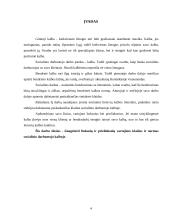 Linksnių ir prielinksnių klaidos socialinio darbuotojo kalboje 4 puslapis