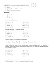Lošimų teorija: matricos sprendinys 2 puslapis