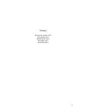 Machu Picchu 2 puslapis