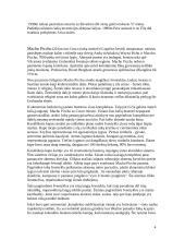 Machu Picchu 4 puslapis