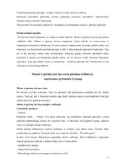 Maisto ir gėrimų skyriaus veiklos analizė 11 puslapis