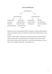 Maisto ir gėrimų skyriaus veiklos analizė 5 puslapis