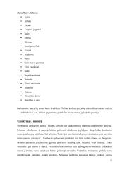 Maisto ir gėrimų skyriaus veiklos analizė 7 puslapis