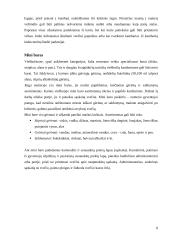 Maisto ir gėrimų skyriaus veiklos analizė 8 puslapis