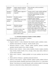 Maisto prekių sudėtis, gėrimai, žuvys, pienas 20 puslapis