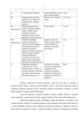 Maisto prekių sudėtis, gėrimai, žuvys, pienas 6 puslapis