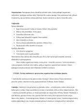 Maitinimo įmonių paskirtis ir reikšmė viešbutyje 5 puslapis