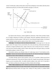 Keletas makroekonomikos temų 5 puslapis