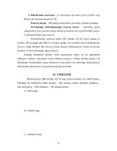 Makroekonomikos teorijos 12 puslapis