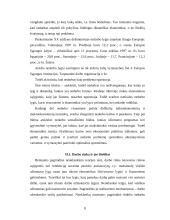 Makroekonomikos teorijos 8 puslapis