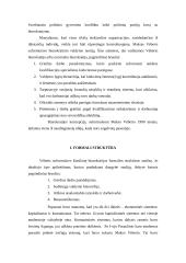 Makso Vėberio (M. Weber) ekonominė teorija 2 puslapis