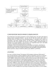 Management analysis: internet service ZEBRA, company "TEO LT" 3 puslapis