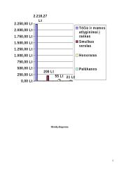 Mano šeimos biudžetas ir išvados 3 puslapis