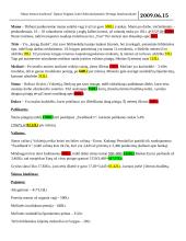 Petrulaičių šeimos biudžetas 2 puslapis