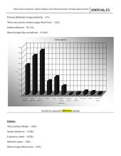 Petrulaičių šeimos biudžetas 3 puslapis