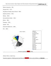 Petrulaičių šeimos biudžetas 4 puslapis