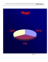 Petrulaičių šeimos biudžetas 5 puslapis