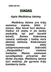 Meškėnų šeimos biudžetas 2 puslapis