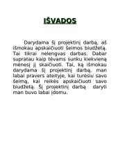 Meškėnų šeimos biudžetas 14 puslapis