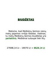 Meškėnų šeimos biudžetas 15 puslapis