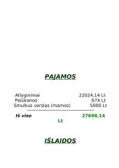 Meškėnų šeimos biudžetas 3 puslapis