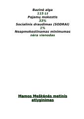 Meškėnų šeimos biudžetas 5 puslapis