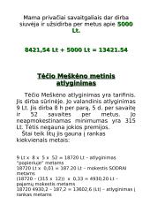 Meškėnų šeimos biudžetas 7 puslapis