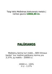 Meškėnų šeimos biudžetas 8 puslapis