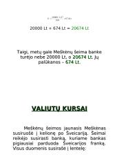 Meškėnų šeimos biudžetas 9 puslapis