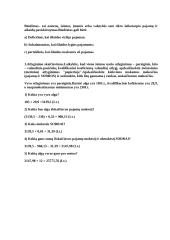 Mano šeimos finansinis biudžetas 2 puslapis