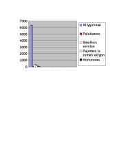 Mano šeimos finansinis biudžetas 5 puslapis