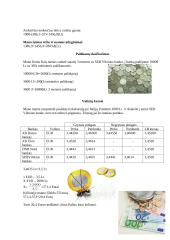 Projektas: ‚,Mano šeimos biudžetas“ 4 puslapis